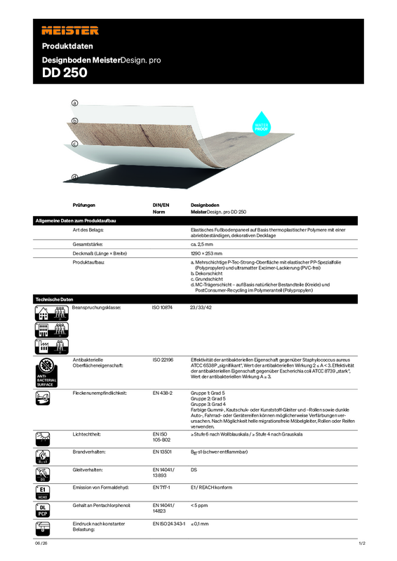 DE_Produktdatenblatt_Designboden_DD250_M_0626.pdf