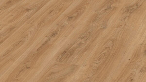 Laminate flooring MeisterDesign. laminate LL 250 Natural castle oak 06836