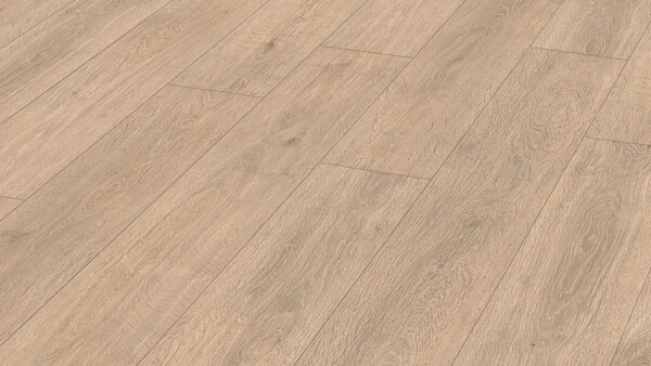 Laminate flooring MeisterDesign. laminate LD 150 Caledonia oak 6421