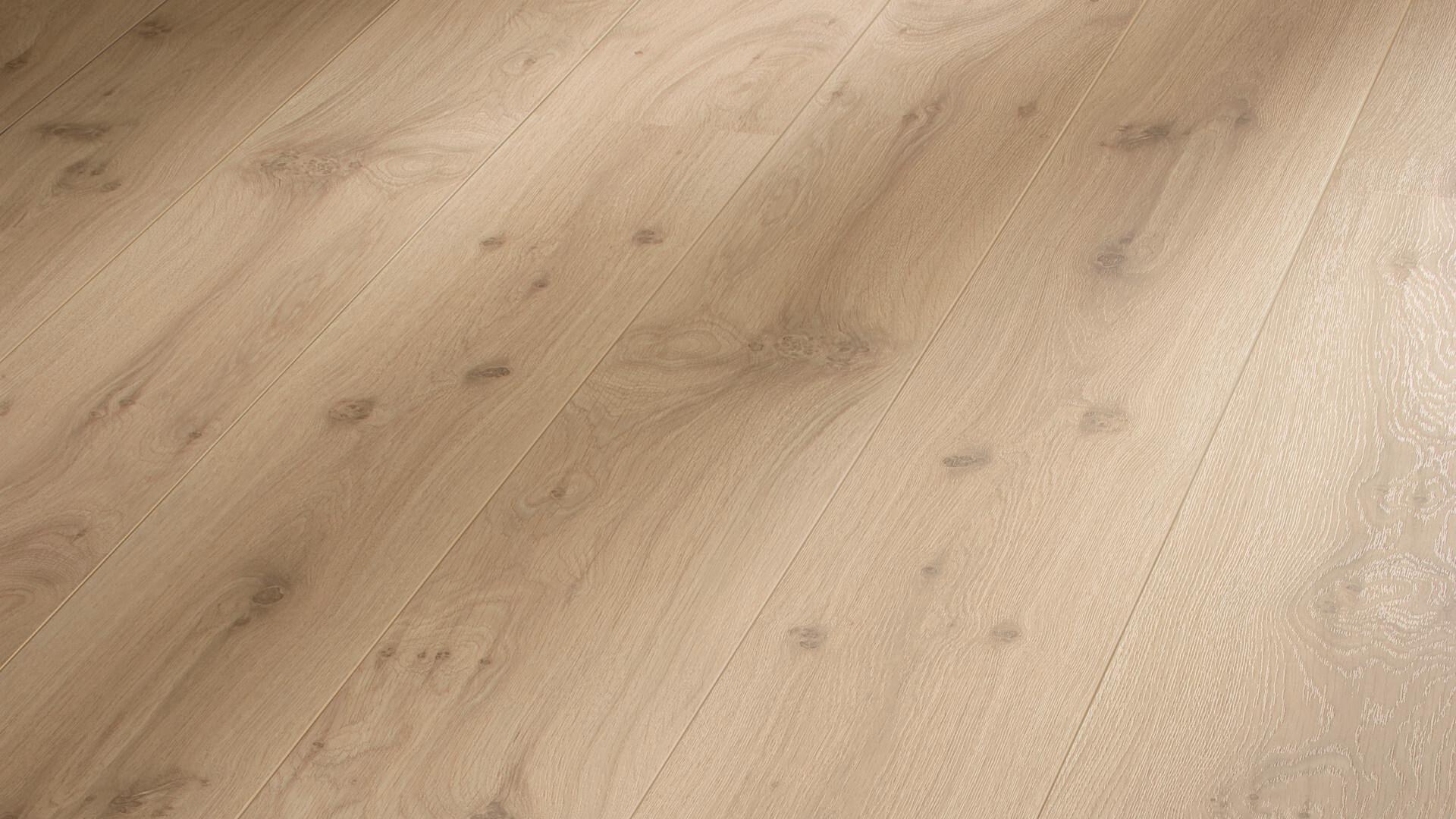 Laminate flooring Melango LD 300|20 Light oak 286