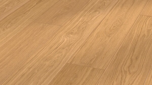 Parquet flooring MeisterParquet. longlife PD 450 Oak harmonious 9000