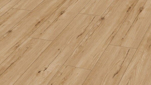 Design flooring MeisterDesign. rigid RD 300 S Springdale oak 7395