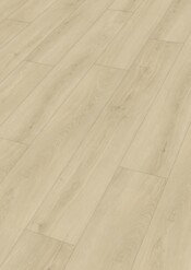 20197_Rigid-Vinyl_RM500S_Perspektive.jpg