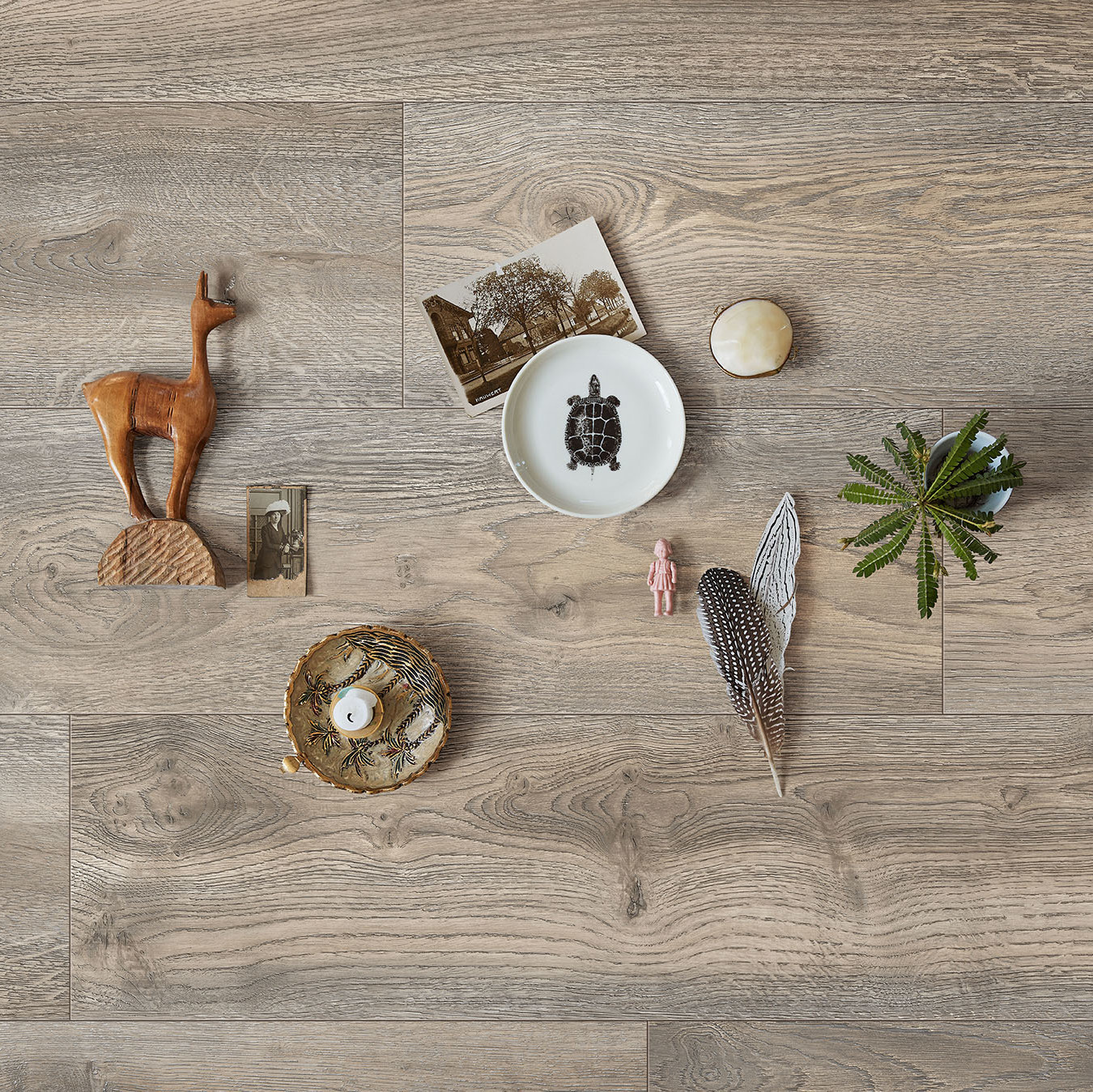 MeisterDesign. laminate Chêne sauvage gris 6977