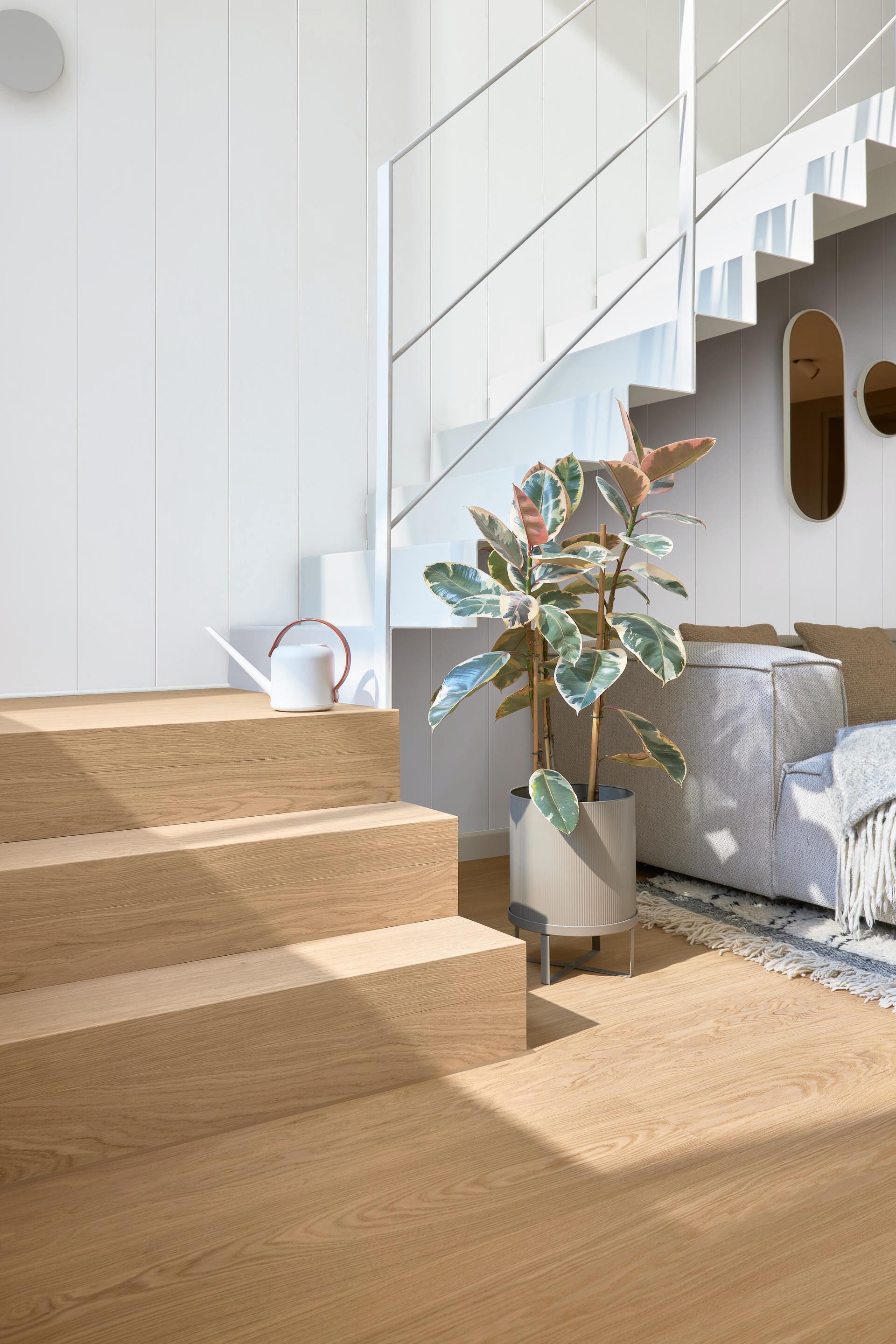 20096_terra_DP250_Ambiente_R01.jpg