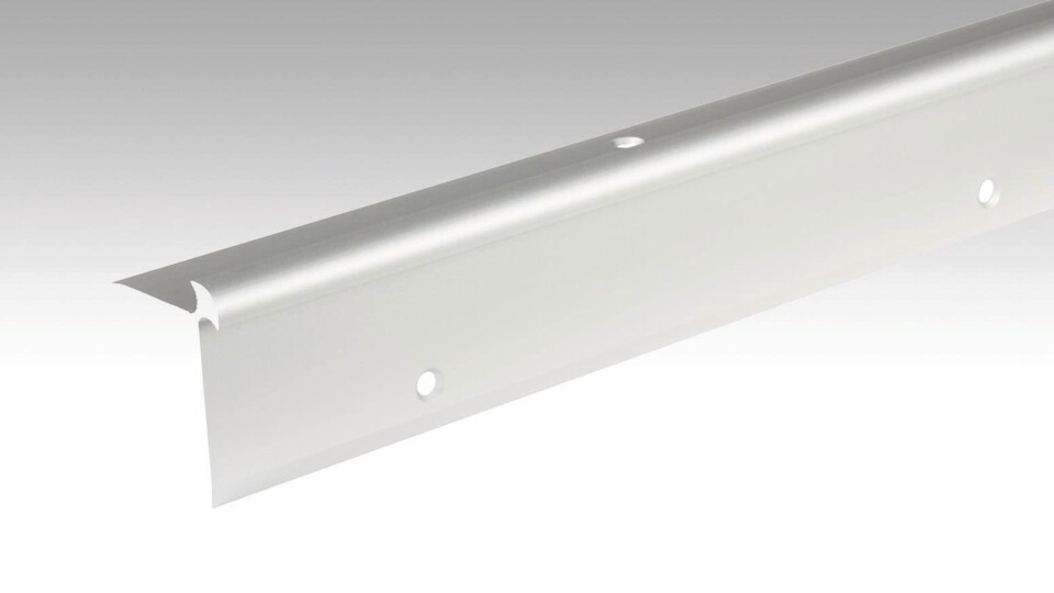Treppenkantenprofil Typ 5 (5 bis 6 mm) Silber eloxiert 220