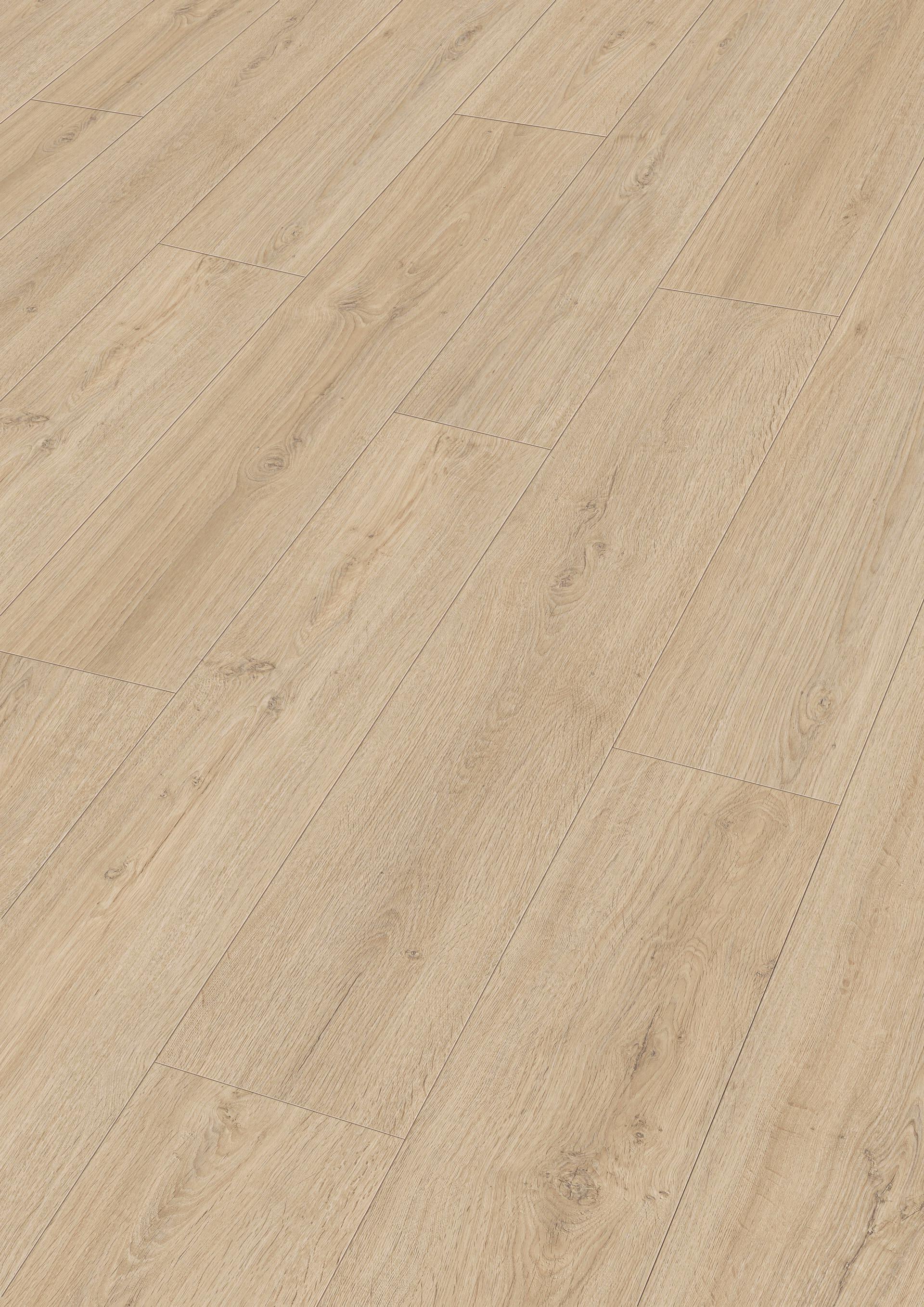 7122_MeisterDesign_DD_Perspektive.jpg