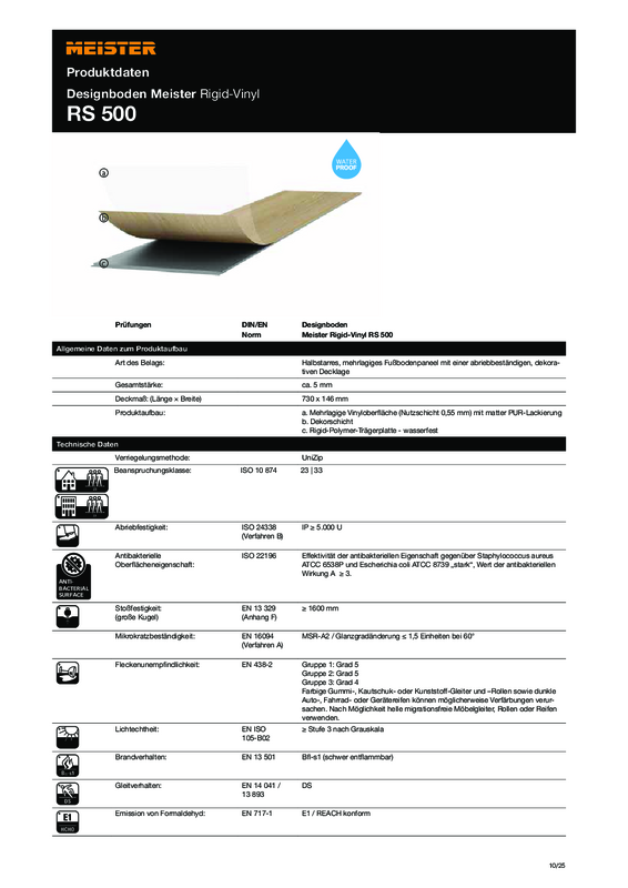 DE_Produktdatenblatt_Rigid-Vinyl_RS500_M_1025.pdf