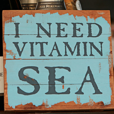 Holzschild I need vitamin sea