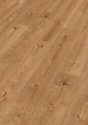 7118_MeisterDesign_DD_Perspektive.jpg