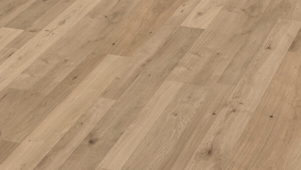 Laminate flooring MeisterDesign. laminate LC 55 Natural oak 6675