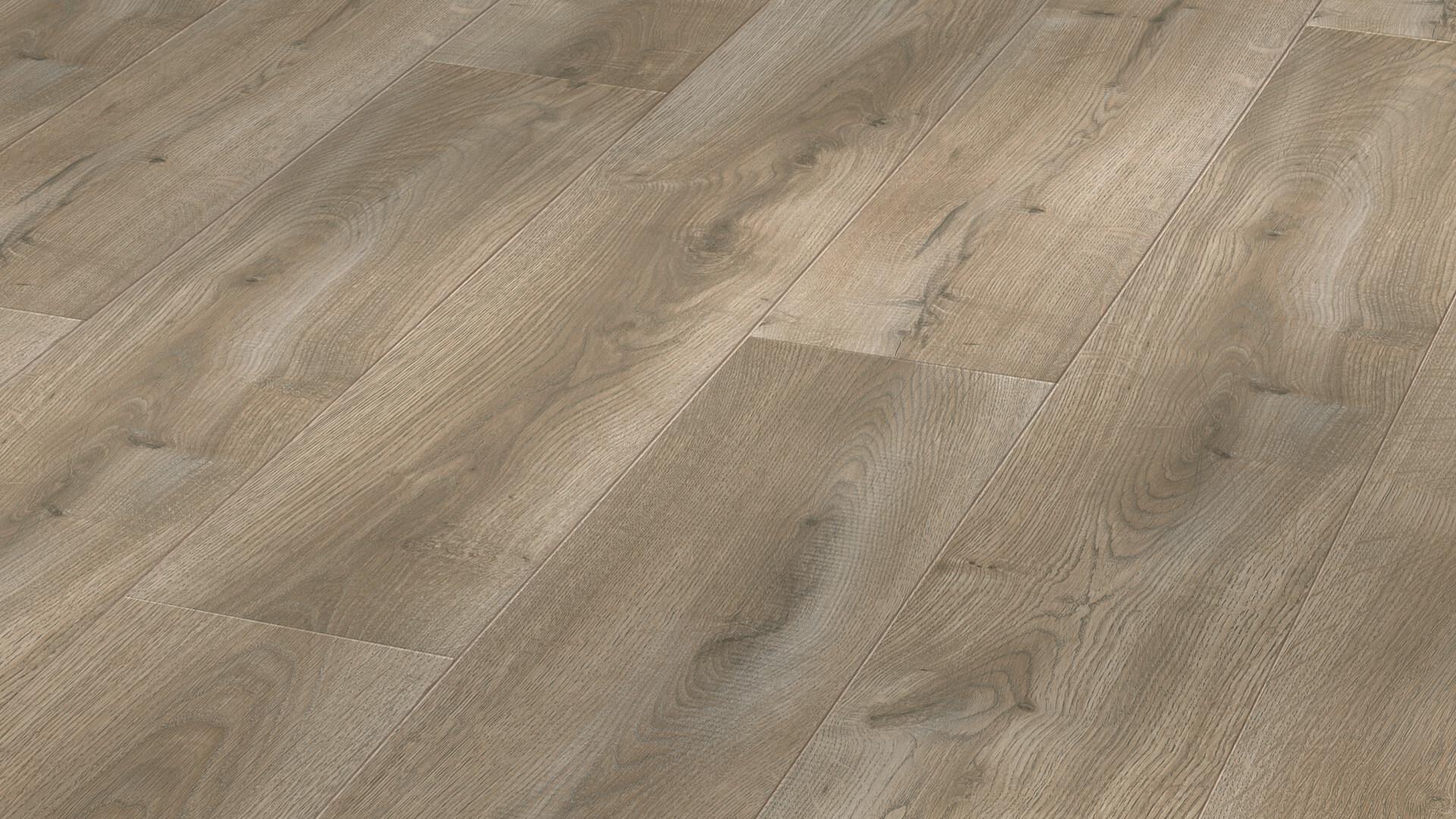 Laminate flooring MeisterDesign. laminate LL 250 Mohair grey vintage oak 6288