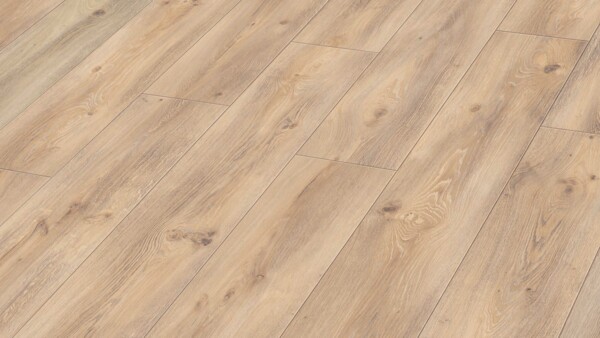 Design flooring MeisterDesign. next DD 500 S Desert oak 6998