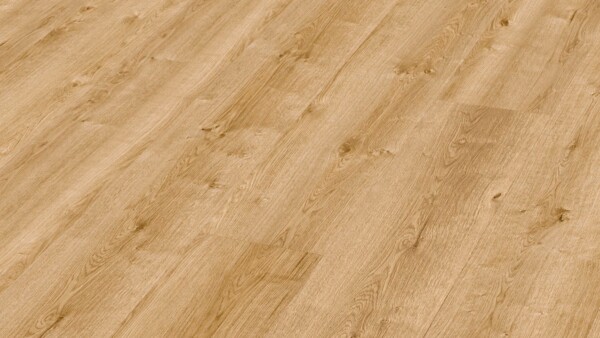 Laminate flooring MeisterDesign. laminate LL 250 Natural farmer's oak 06832