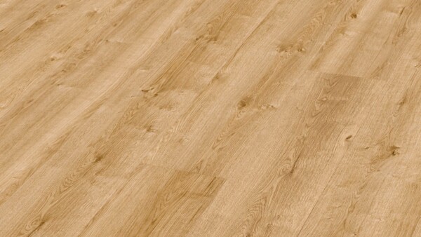 Laminat MeisterDesign. laminate LL 250 Bauerneiche natur 06832