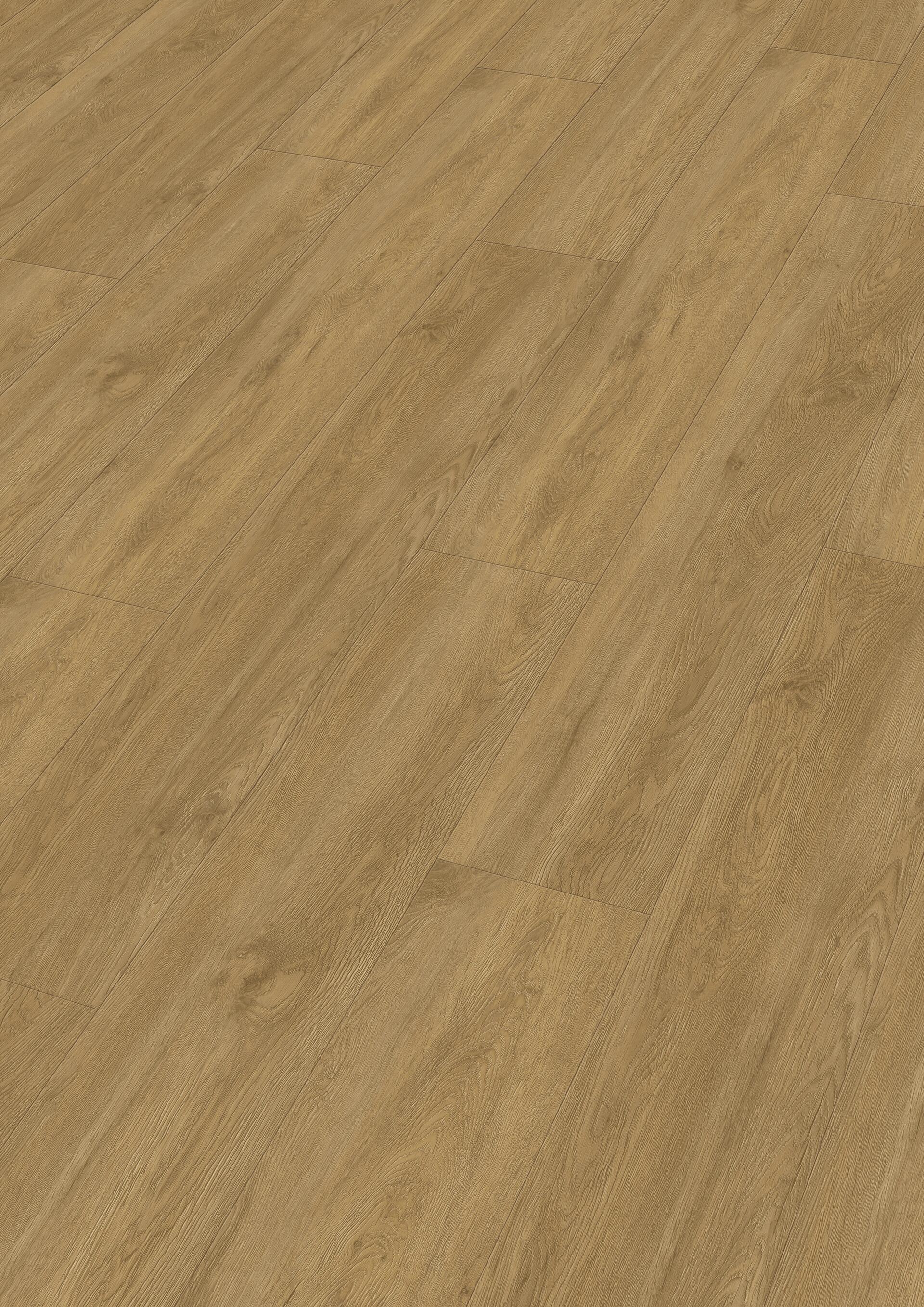 20194_Dryback-Vinyl_DD155_Perspektive.jpg