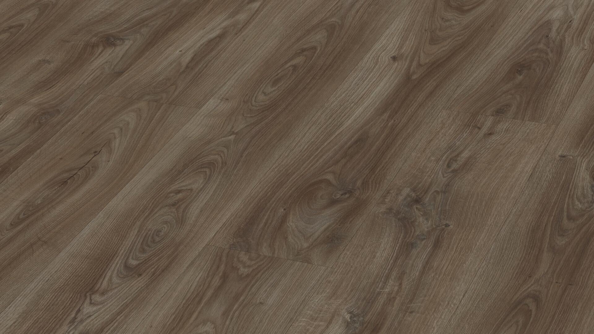 Laminate flooring MeisterDesign. laminate LL 250 Dark castle oak 6842