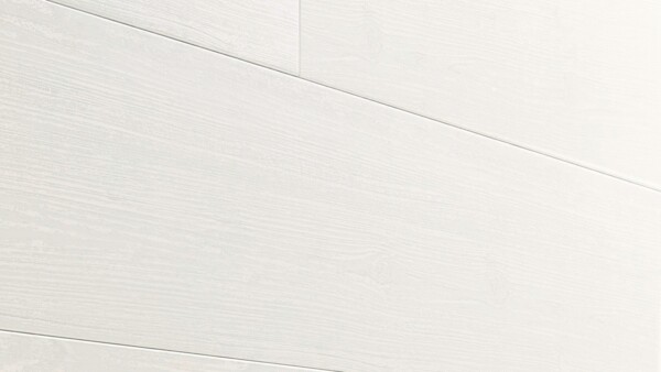 Decorative panels MeisterPanels. tertio DP 250 Arctic white pine 4099