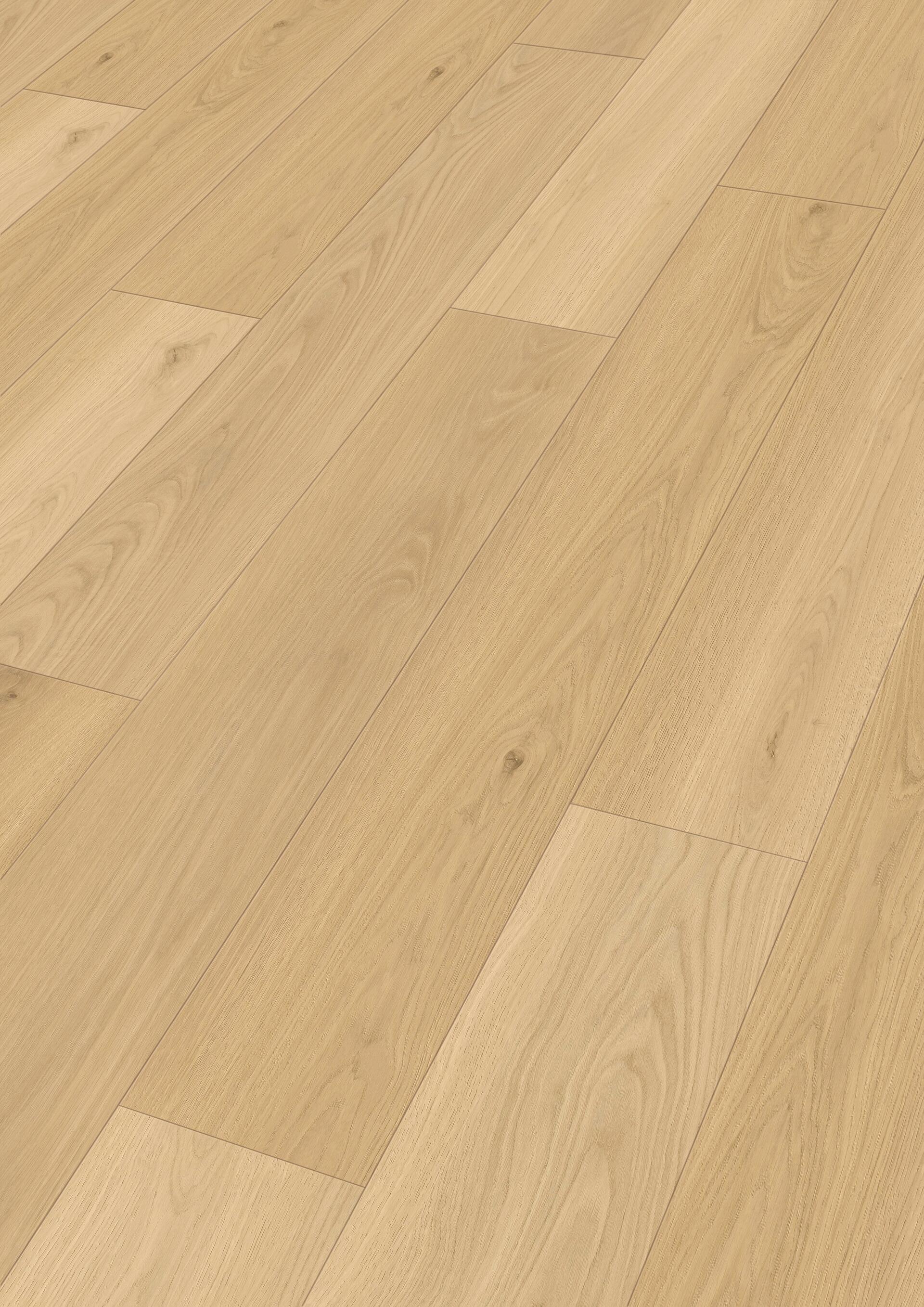 20204_Rigid-Vinyl_RM500S_Perspektive.jpg