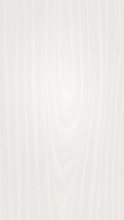 00382_tertio_DP200_Frontal.jpg