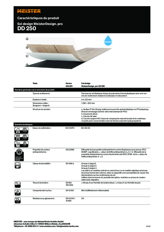 FR_Caracteristiques_du_produit_Sol design_DD250_M_0126.pdf