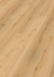 20218_Rigid-Vinyl_RL600S_Perspektive.jpg