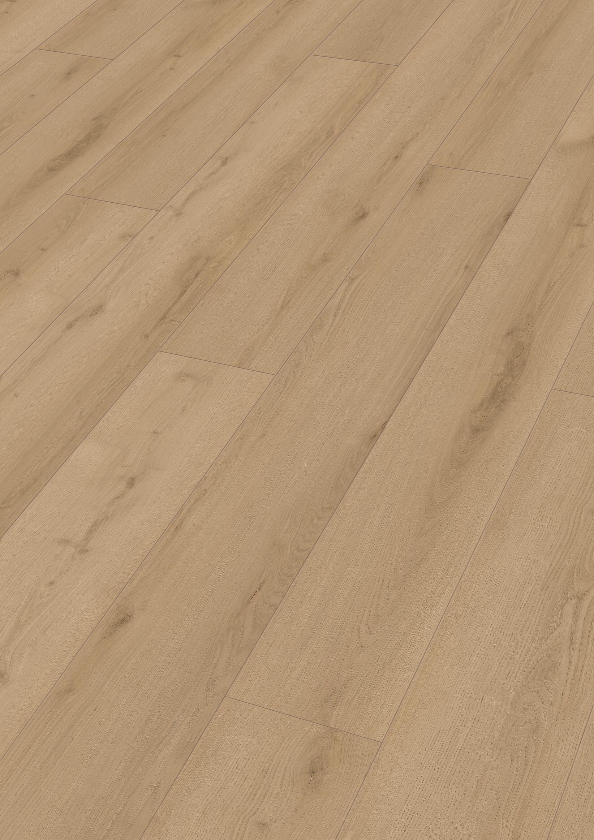 20217_Rigid-Vinyl_RL600S_Perspektive.jpg