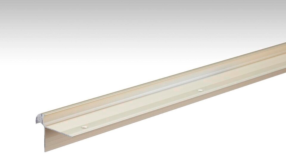 Treppenkantenprofil Typ 11 (10 bis 11 mm) Sand eloxiert 00230