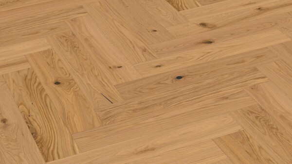 Parquet flooring MeisterParquet. longlife PS 500 Authentic oak 09002 ultra matt lacquered