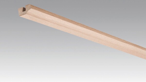 Deckenabschlussleiste Buche pure 04094