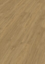 20194_Dryback-Vinyl_DD155_Perspektive.jpg