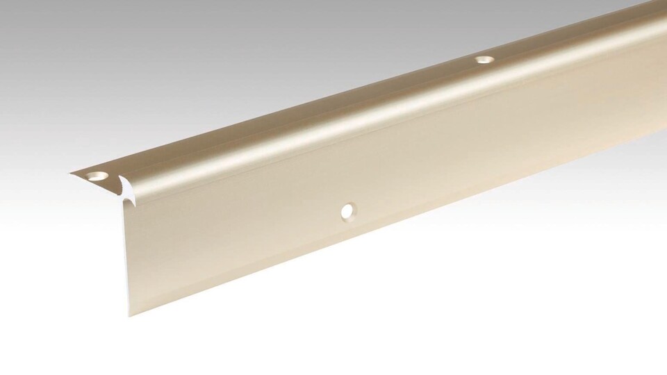 Treppenkantenprofil Typ 5 (5 bis 6 mm) Sand eloxiert 00230