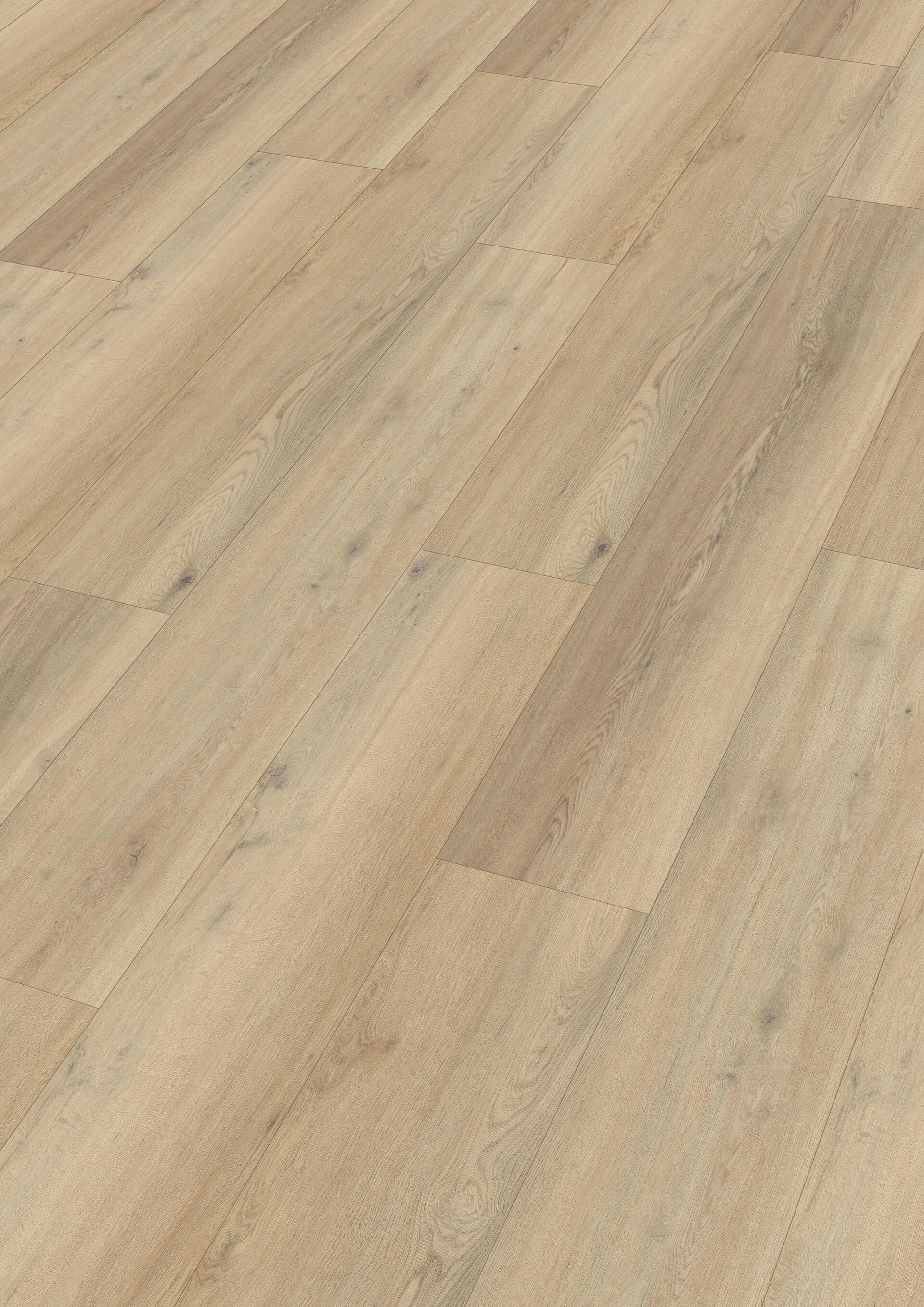 20190_Dryback-Vinyl_DD155_Perspektive.jpg
