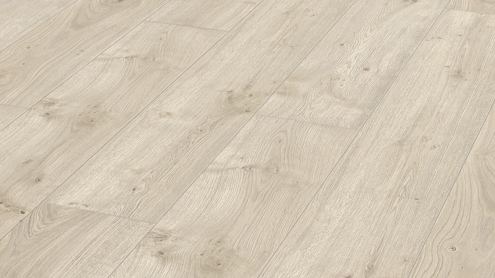 Laminate flooring MeisterDesign. laminate LL 250 Polar oak 6381
