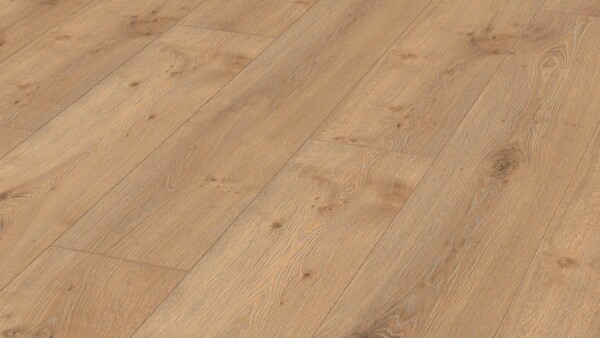 Laminate flooring MeisterDesign. laminate LL 250 Dakar oak 06385
