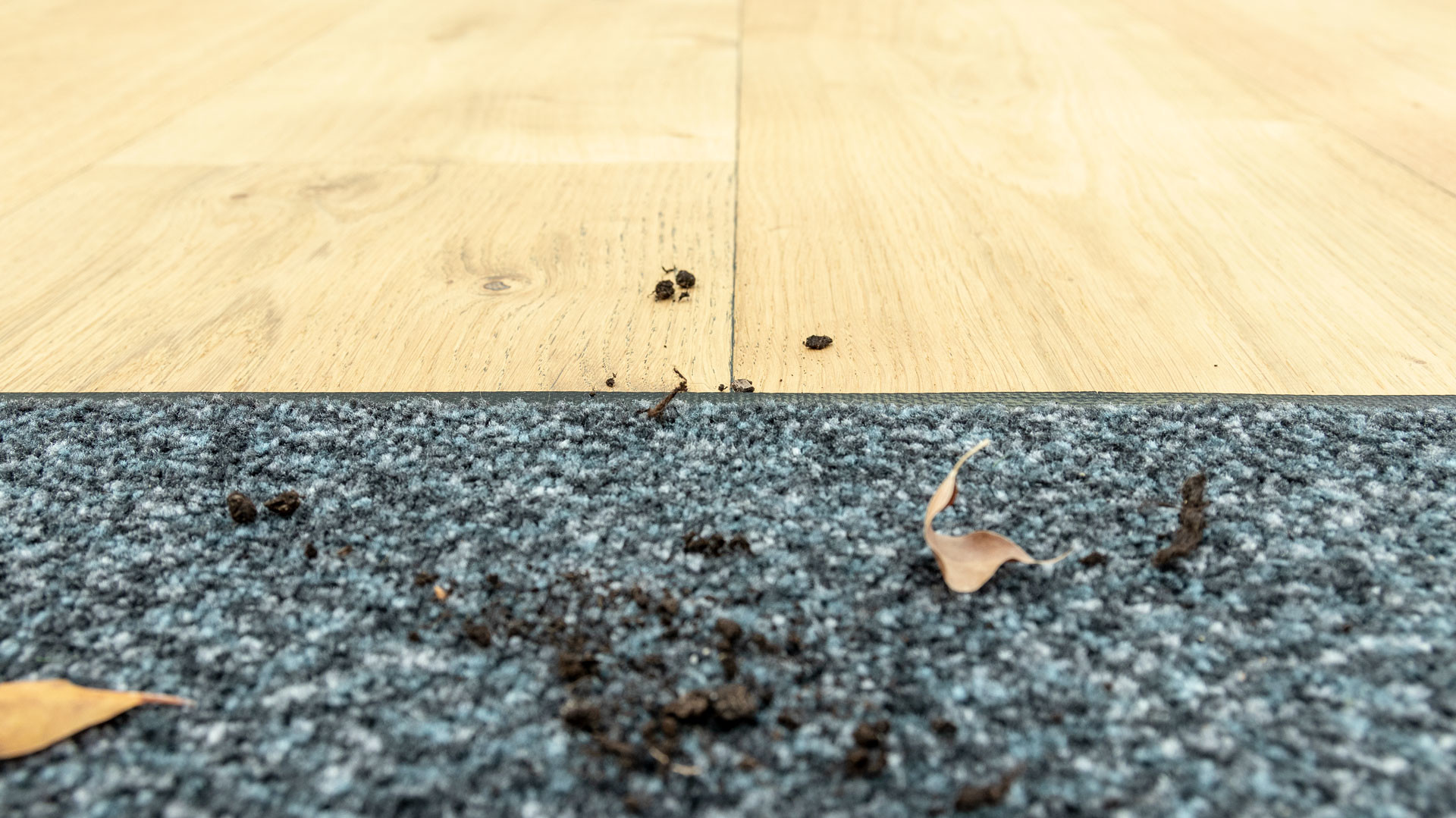 Tips And Instructions For Parquet Maintenance