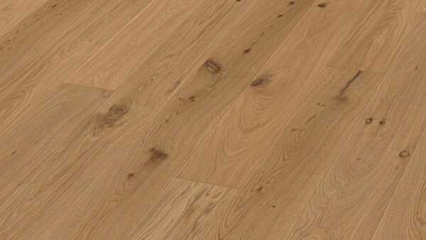 Parkett MeisterParkett. longlife PD 400 Eiche authentic greige 09029 naturgeölt