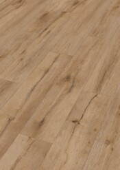 7452_allround_DD700S_Perspektive.jpg