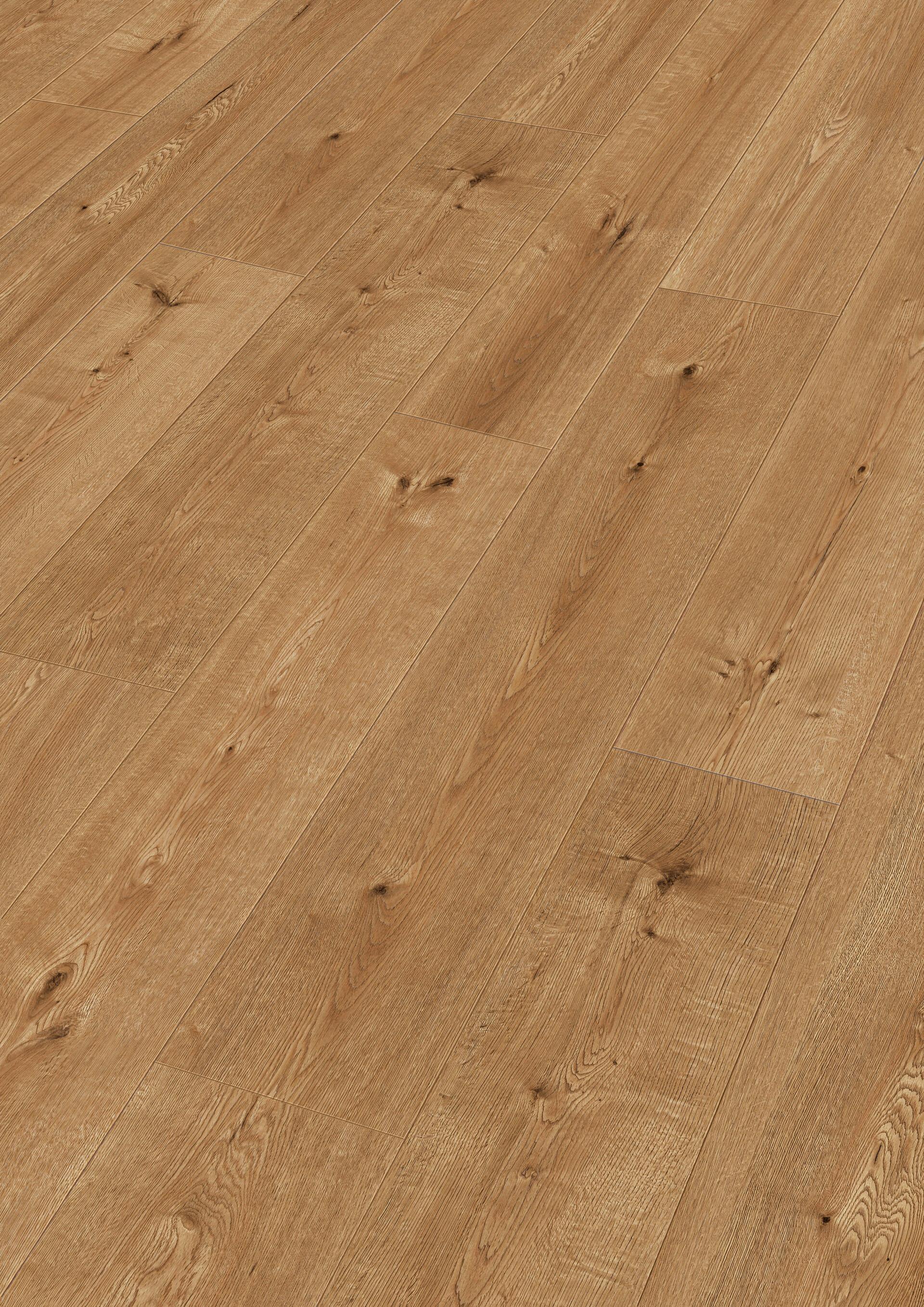 7118_MeisterDesign_DD_Perspektive.jpg