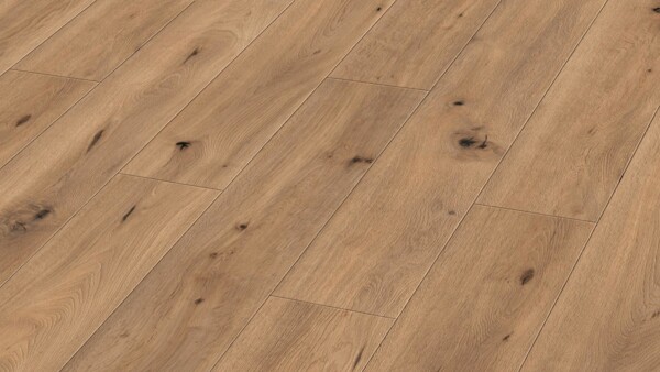 Design flooring MeisterDesign. flex DD 400 Natural field oak 6844