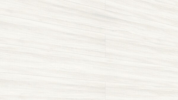 Dekorpaneele MeisterPaneele. tertio DP 200 White wood 20106