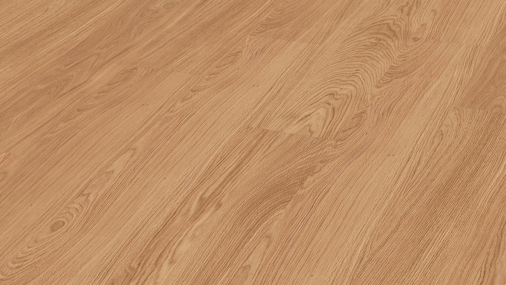 Laminate flooring MeisterDesign. laminate LC 150 Oak 6441