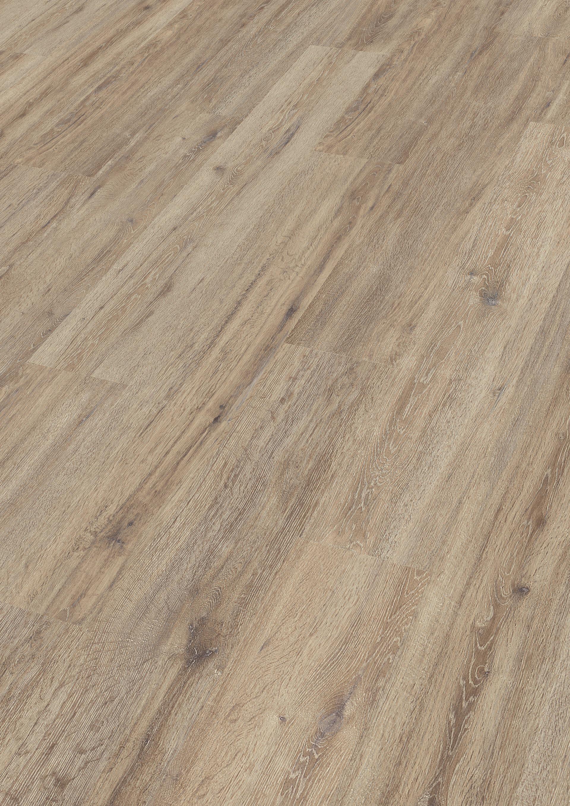 Laminate Flooring Antique Oak 6674 Meister, Copper Sands Oak Laminate Flooring
