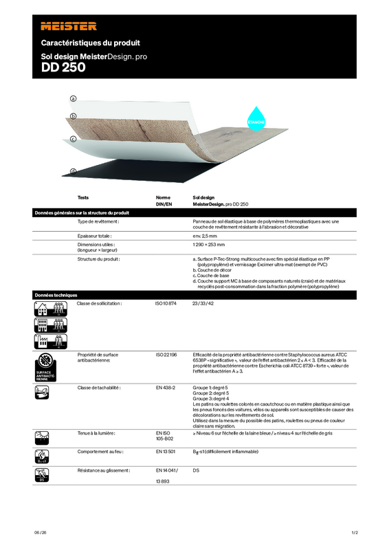 FR_Caracteristiques_du_produit_Sol design_DD250_M_0626.pdf