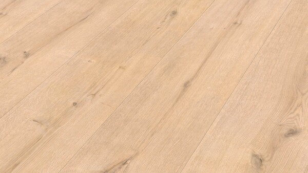 Laminate flooring MeisterDesign. laminate Edition M8 Big river oak 07154