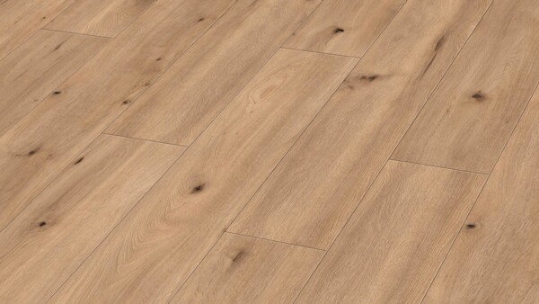 Design flooring MeisterDesign. next DD 500 S Light field oak 6843