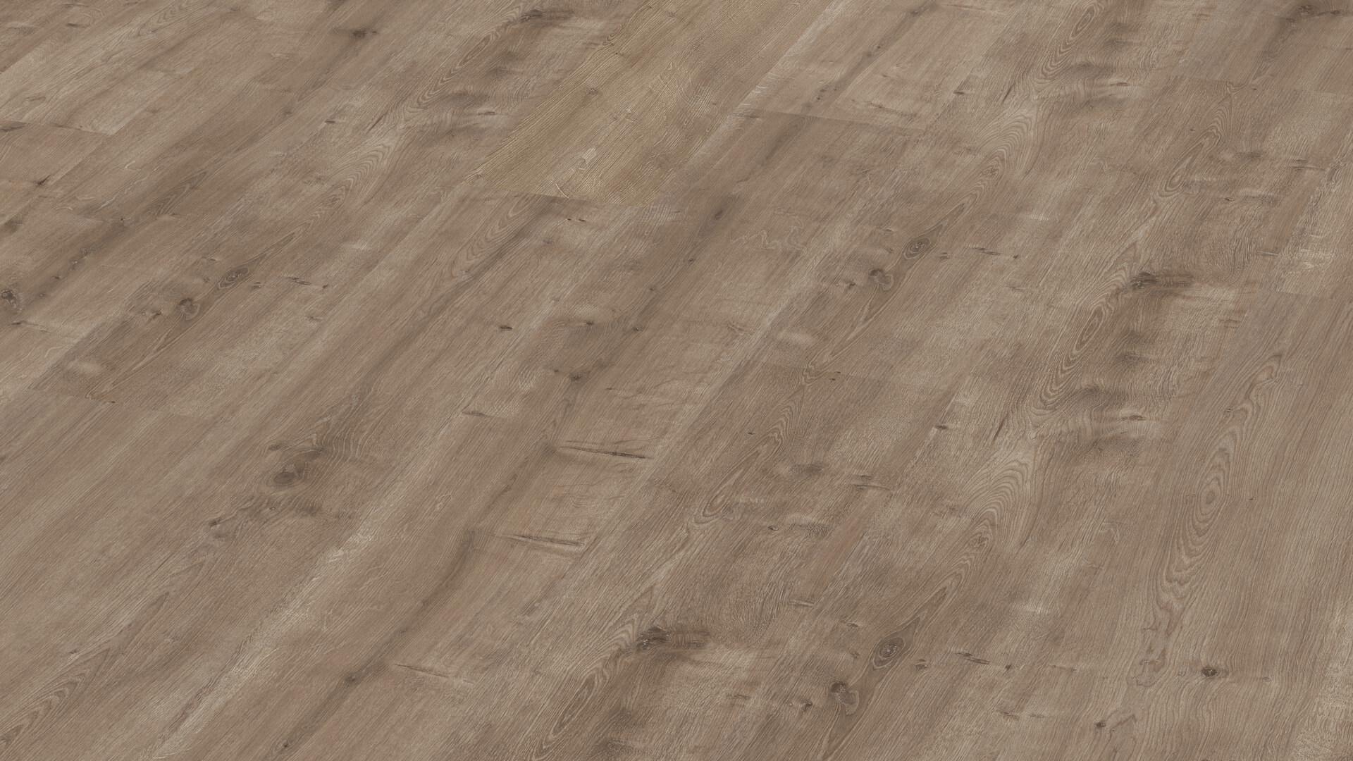 Laminate flooring MeisterDesign. laminate LC 55 Fine oak 6672