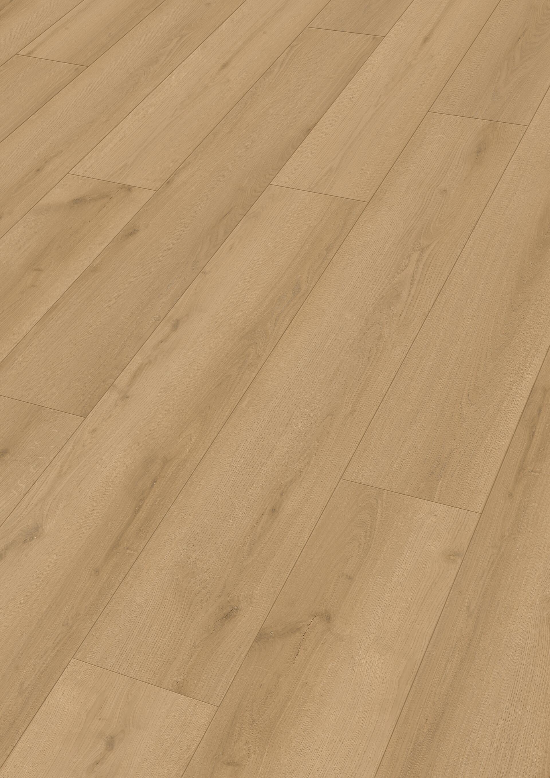 20202_Rigid-Vinyl_RM500S_Perspektive.jpg