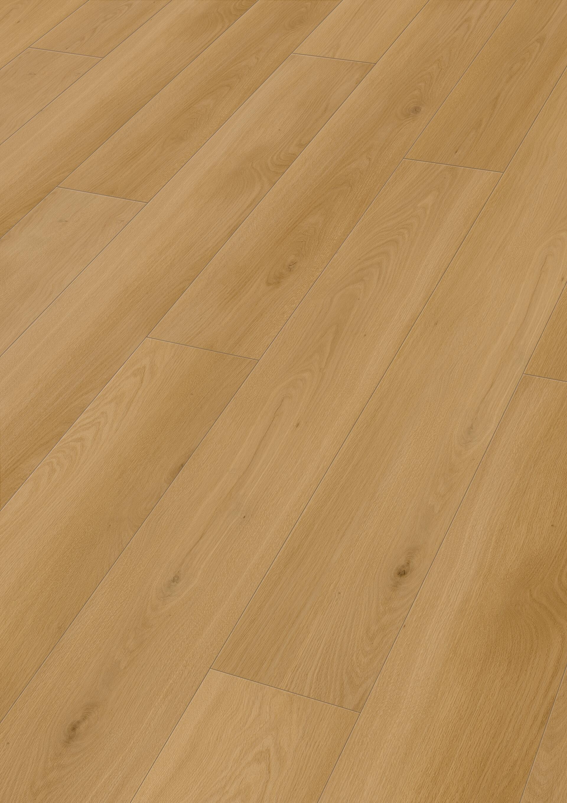 20214_Rigid-Vinyl_RL600S_Perspektive.jpg