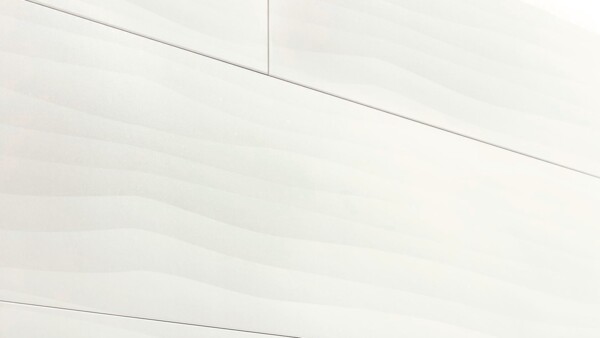 Decorative panels MeisterPanels. terra DP 250 White vision 4203